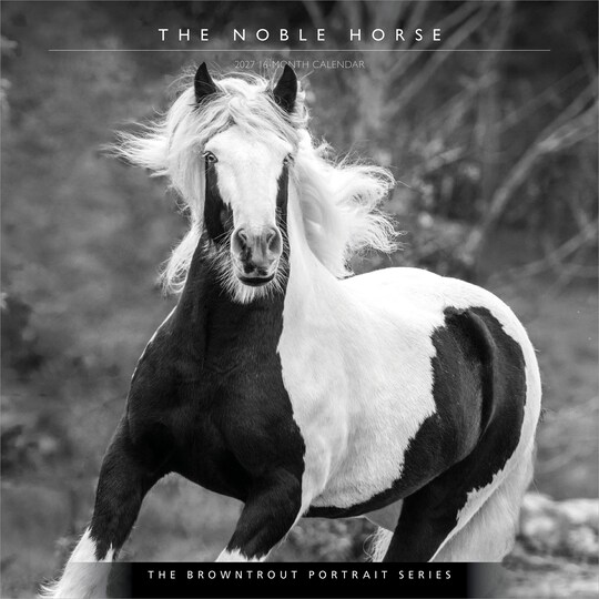 BrownTrout; The BrownTrout Portrait Series: The Noble Horse | 2027 12 x 24 Inch (Hanging) Monthly Square Wall Calendar | Plastic-Free; Category:Wall Calendars; Image:1